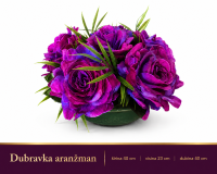 Dubravka ARANŽMAN